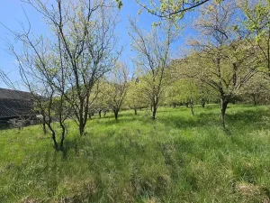 Prodej pozemku pro bydlení, Štěpánov nad Svratkou, 3802 m2