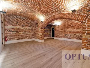 Pronájem bytu 6+kk a větší, Praha - Staré Město, Dušní, 218 m2