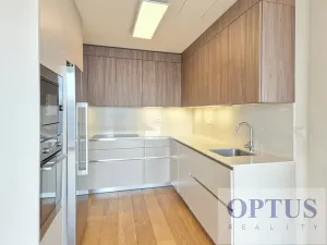 Pronájem bytu 5+kk, Praha - Smíchov, Holečkova, 212 m2