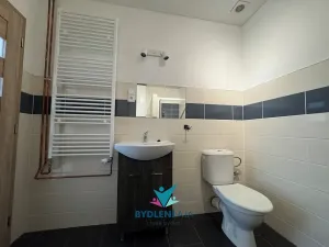 Pronájem bytu 1+kk, Ústí nad Labem, Bratislavská, 45 m2