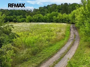 Prodej pozemku pro bydlení, Liběchov, 7548 m2