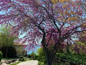 Prodej bytu 1+kk, Nesebar, Bulharsko, 33 m2