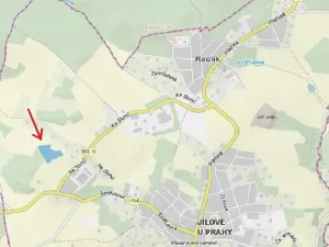 Prodej lesa, Jílové u Prahy, 15458 m2