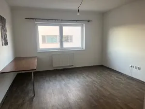 Pronájem bytu 1+kk, České Budějovice, Zavadilka, 31 m2