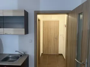 Pronájem bytu 1+kk, České Budějovice, Zavadilka, 31 m2