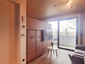 Pronájem bytu 1+kk, Brno, V rejích, 20 m2