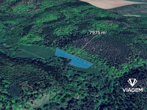 Prodej podílu pole, Chříč, 3987 m2