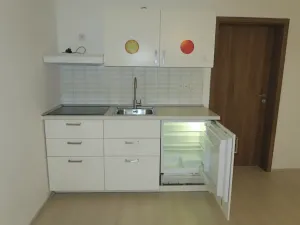 Pronájem bytu 1+kk, Brno, Pastviny, 32 m2