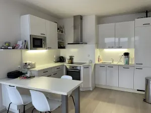 Pronájem bytu 2+kk, Brno, Vídeňská, 45 m2