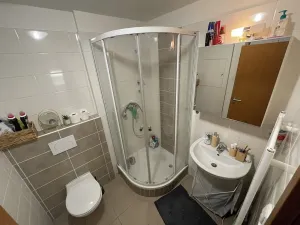 Pronájem bytu 2+kk, Brno, Vídeňská, 45 m2