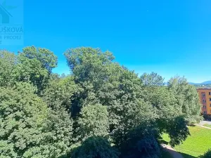 Pronájem bytu 1+1, Ostrava, Jičínská, 28 m2