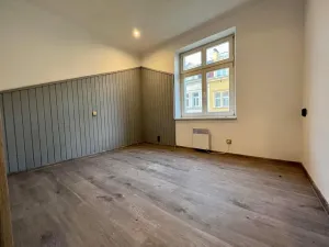 Pronájem bytu 2+1, Karlovy Vary, K. Čapka, 37 m2