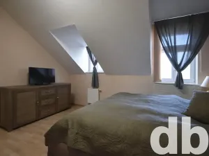 Pronájem bytu 4+kk, Karlovy Vary, Petřín, 115 m2