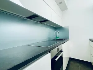 Pronájem bytu 1+kk, Brno, Cihlářská, 38 m2