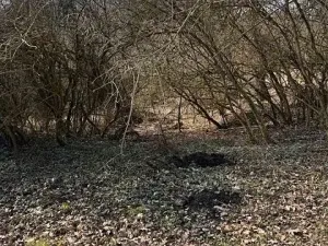 Prodej podílu pozemku, Kamenice, 1081 m2