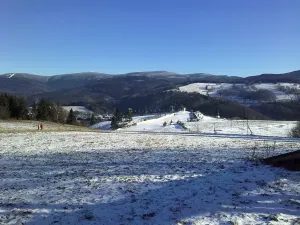 Prodej bytu 3+1, Branná, 92 m2