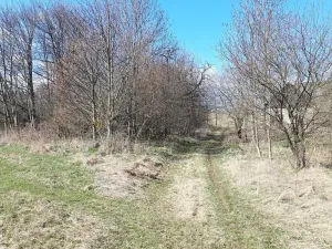 Prodej pozemku pro bydlení, Hynčina, 2595 m2