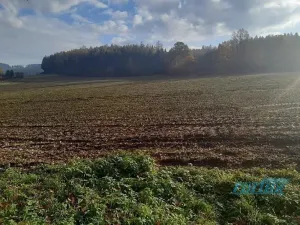 Prodej pozemku pro bydlení, Klatovy, 16834 m2