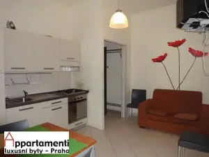 Pronájem bytu 3+kk, Praha - Nové Město, Tyršova, 45 m2