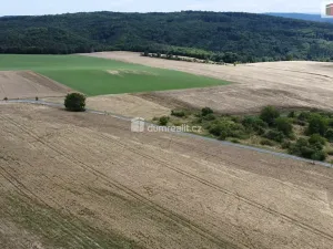 Prodej pozemku, Sýkořice, 3943 m2