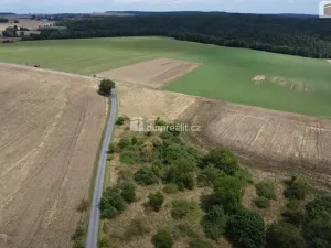 Prodej pozemku, Sýkořice, 3943 m2