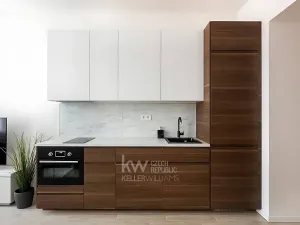 Pronájem bytu 2+kk, Praha - Nusle, Mečislavova, 44 m2