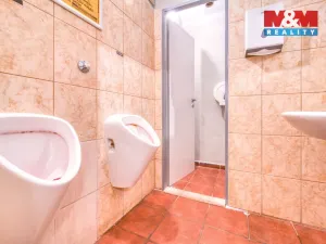 Pronájem restaurace, Plzeň - Jižní Předměstí, Americká, 102 m2