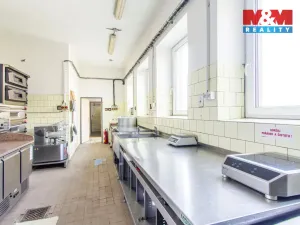 Prodej restaurace, Slezské Rudoltice, 360 m2