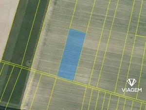 Prodej pole, Starý Mateřov, 10143 m2