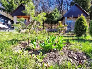 Prodej chaty, Chomutov, 28 m2