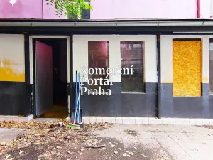 Pronájem restaurace, Praha - Vinohrady, Vocelova, 265 m2