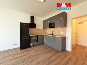 Pronájem bytu 1+kk, Brno - Husovice, Svitavská, 27 m2