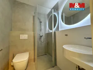 Pronájem bytu 1+kk, Brno - Husovice, Svitavská, 27 m2