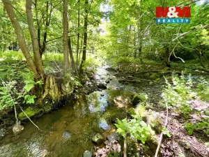 Prodej rybníku, Skalice u České Lípy, 3255 m2