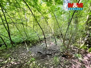 Prodej rybníku, Skalice u České Lípy, 3255 m2