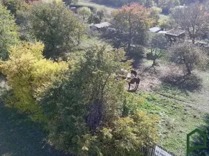 Prodej pozemku pro bydlení, Ruprechtov, 5140 m2