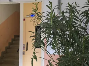 Prodej bytu 1+1, Šlapanice, Švehlova, 34 m2