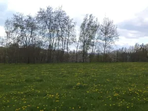 Prodej pozemku, Staré Město - Nová Véska, 10063 m2