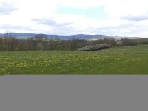 Prodej pozemku, Staré Město - Nová Véska, 10063 m2