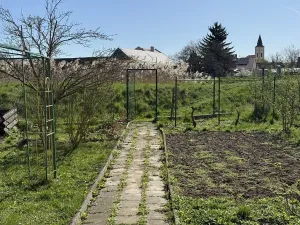 Prodej zahrady, Opatovice, 453 m2