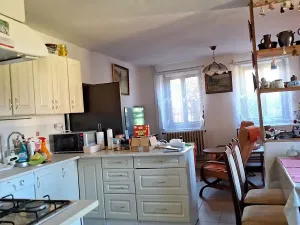 Prodej chalupy, Svojšín, 246 m2