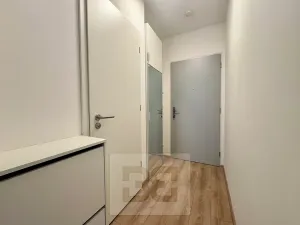 Pronájem bytu 1+kk, Brno, Spolková, 35 m2