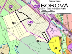 Prodej komerčního pozemku, Borová, 4941 m2