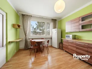 Prodej bytu 1+1, Děčín - Děčín VI-Letná, Weberova, 37 m2