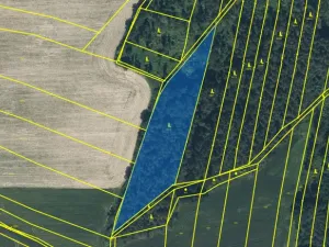 Prodej lesa, Blížejov - Lštění, 7793 m2