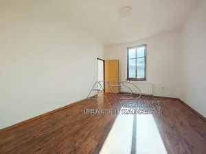 Pronájem bytu 2+1, České Budějovice, L. B. Schneidera, 54 m2