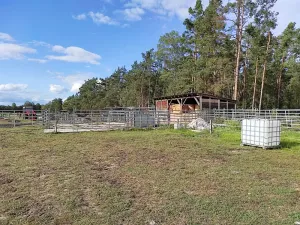 Prodej louky, Doksy, 46765 m2