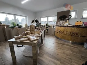 Prodej ubytování, Petrovice u Karviné, 993 m2