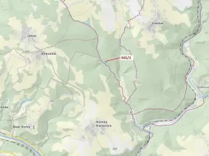 Dražba lesa, Jílové u Držkova, 1684 m2