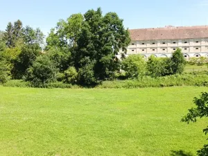 Dražba louky, Pluhův Žďár, 1974 m2